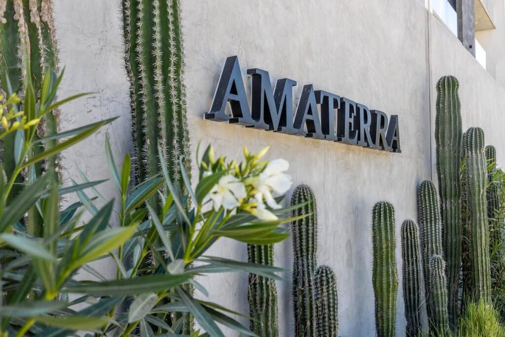 Endless Summer - 2Bed 2Bath Condo - Seasonly Heated Pool With Ocean Views - 5Min Walk To Beach - Fibre Internet - Sleeps 6 Cabo San Lucas Extérieur photo